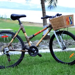 FEMALE MOUNTAIN BIKE