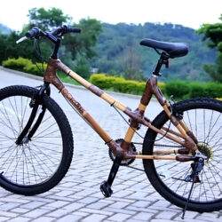 FEMALE MOUNTAIN BIKE WITH DIAGONAL STAYS